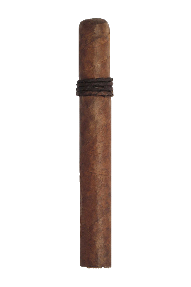CAO Amazon Basin