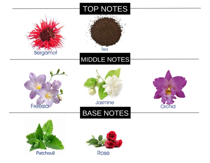 COMPARE TO FLOWERBOMB FRAGRANCE BODY SPRAY - Ceed Fragrances