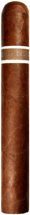 CroMagnon Aquataine Cranium