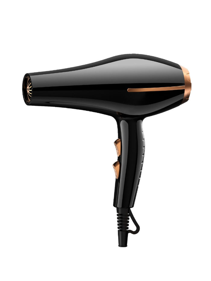Adjustable Temperature Hair Dryer