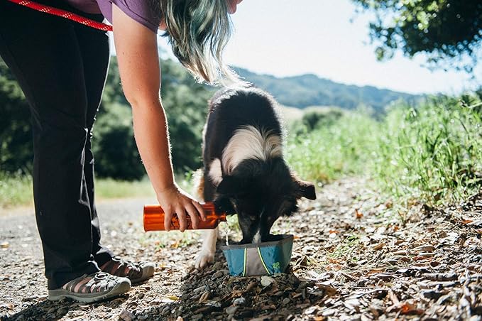 Zippy Paws - Adventure Bowl - Forest Green -