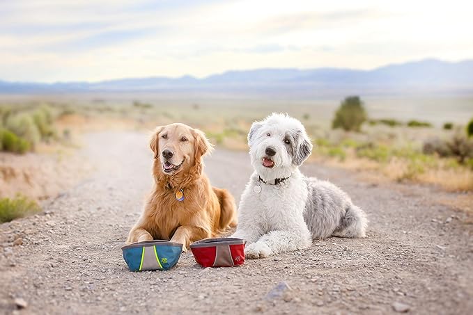 Zippy Paws - Adventure Bowl - Forest Green -