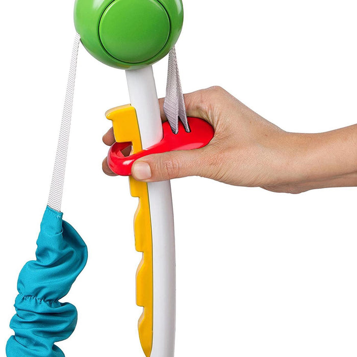 Baby Einstein Jumperoo