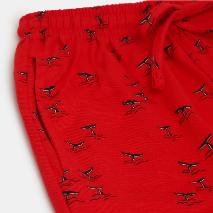 Boys Printed Cotton shorts