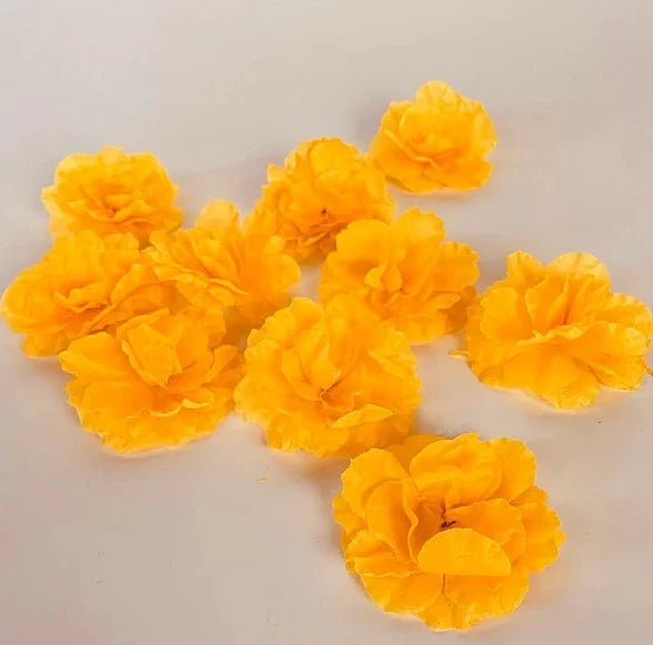 Cempasuchil Scattered Buds (10 Pack)