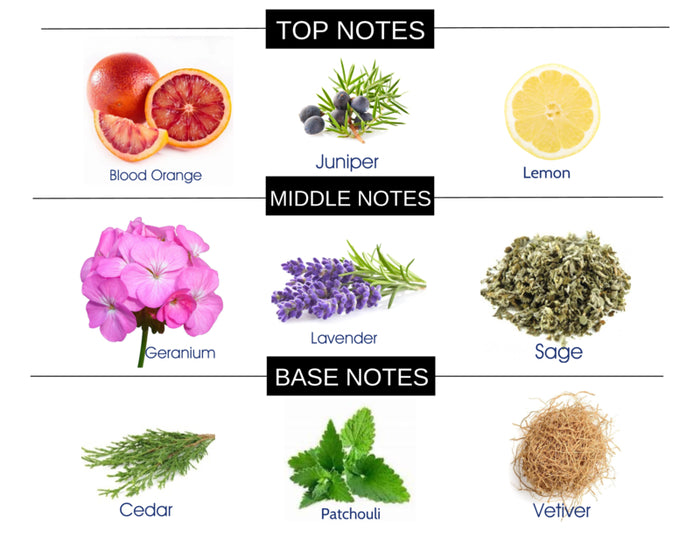COMPARE TO D&G K FRAGRANCE BODY SPRAY - Ceed Fragrances