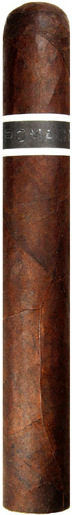 CroMagnon Cranium