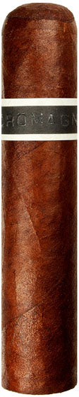 CroMagnon Mandible