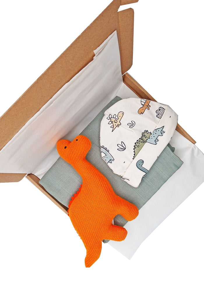 Dinosaur Gift Box - Hat, Muslin and Toy - DESCRIPTION PLS Little Mouse Baby Clothing and Gifts Ltd