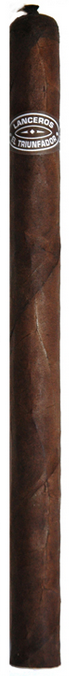 El Triunfador Lancero Limited