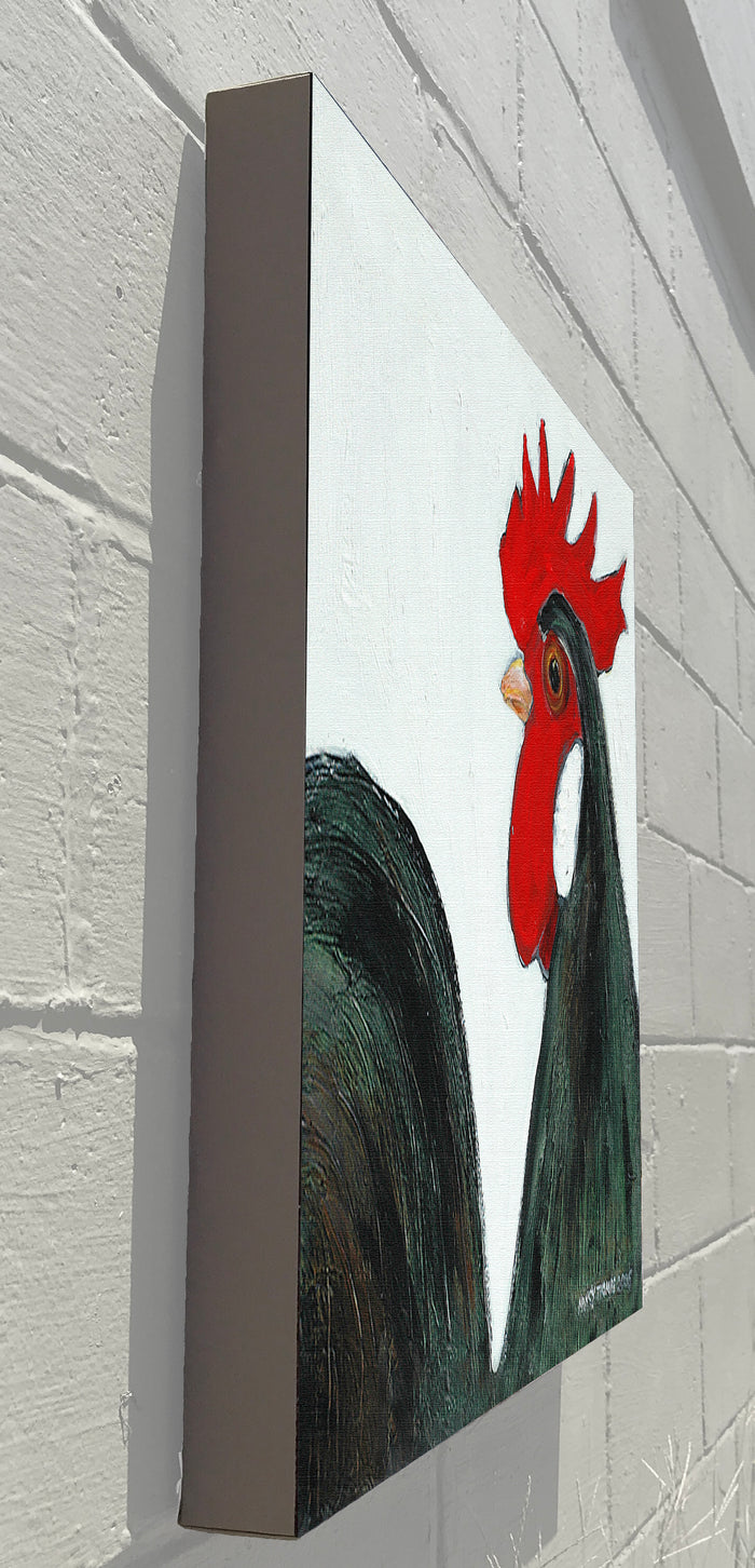 Gallery Grand -  Black Chicken