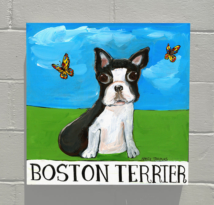 Gallery Grand - Doggie - Boston Terrier