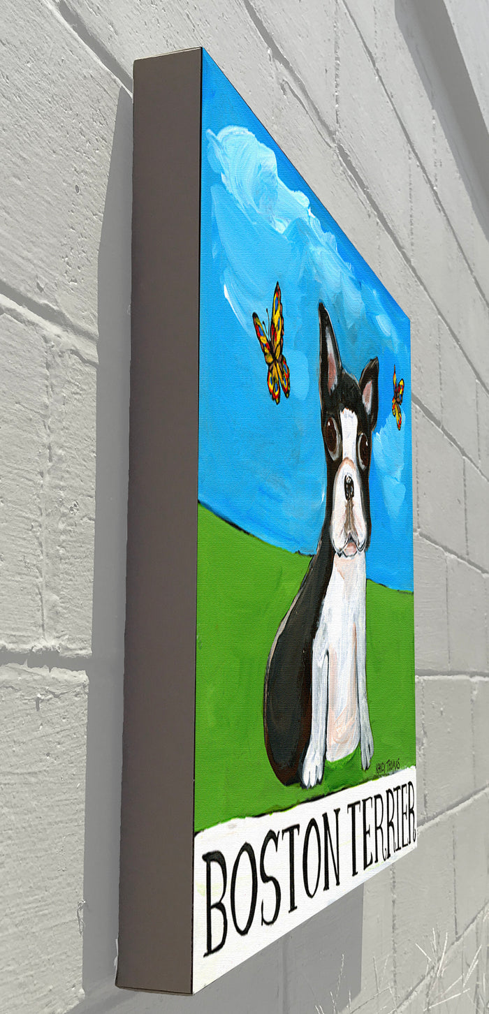 Gallery Grand - Doggie - Boston Terrier