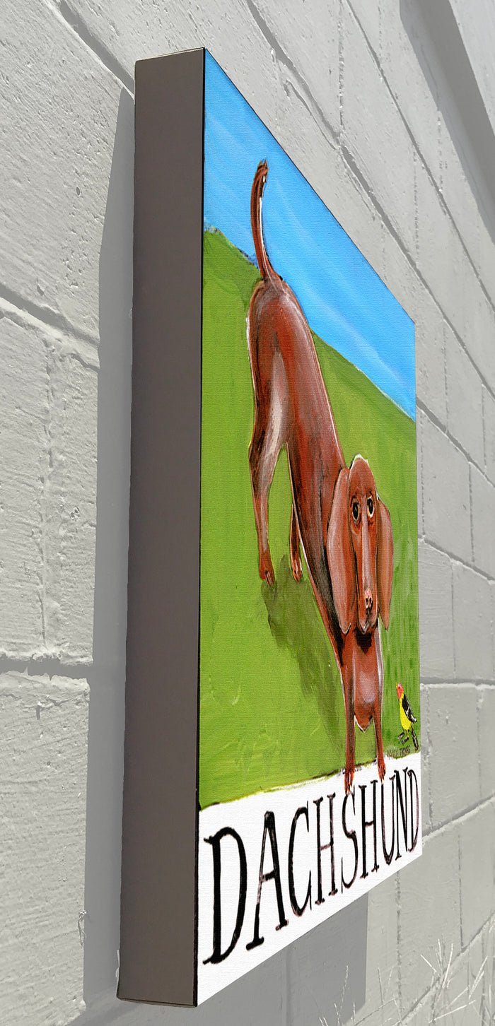 Gallery Grand - Doggie - Dachshund