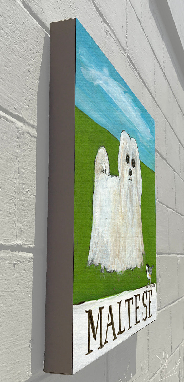 Gallery Grand - Doggie - Maltese