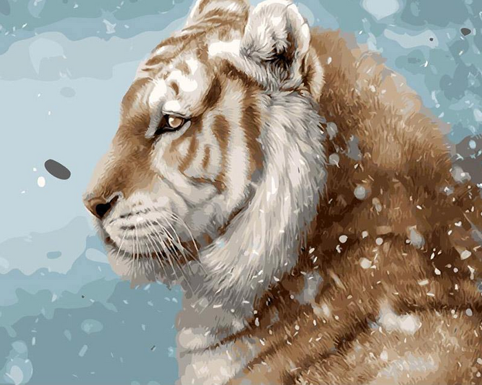 Tiger Paint by Numbers