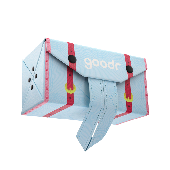 goodr Standard Hard Case - World Traveller Multi-Case Global