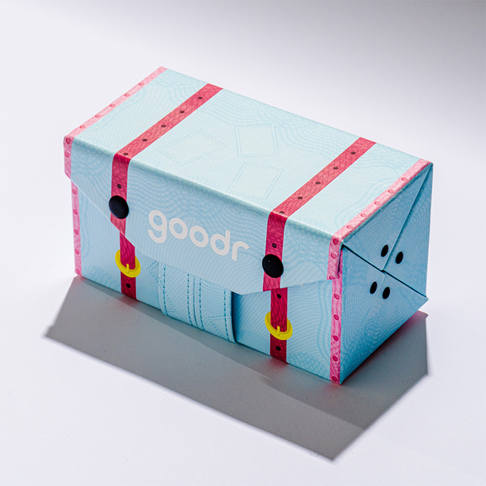goodr Standard Hard Case - World Traveller Multi-Case Global