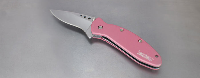 Kershaw Chive Assisted Opening Knife Pink (1.94" Bead Blast) 1600PINK - GearBarrel.com