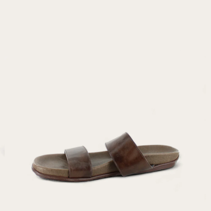maldive_brown_2_2d749e04-b485-4074-aa3f-8fb9265d6781