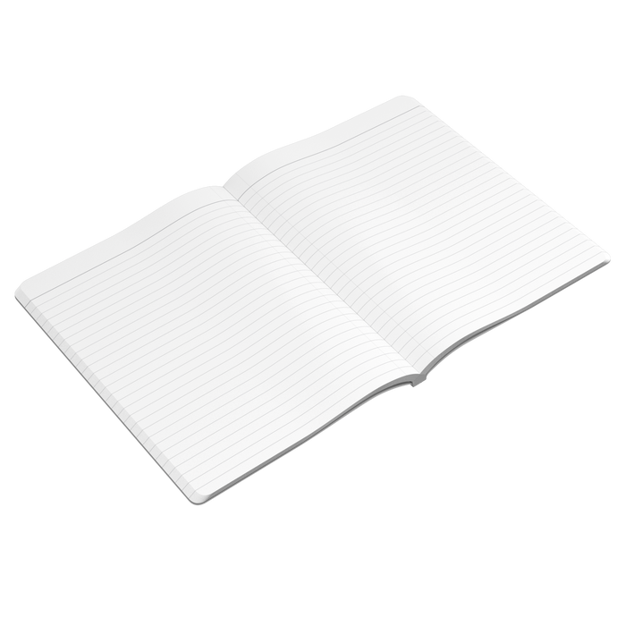Missing_Art_Studies_-_Grant_040__Softco_Open_Pages_Angle_Mockup.png