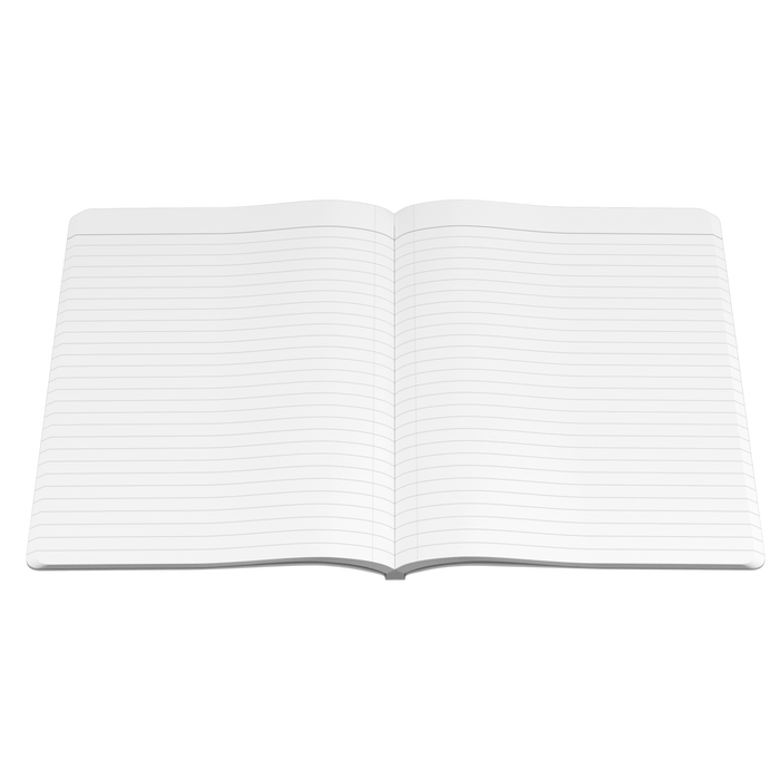 Missing_Art_Studies_-_Grant_040__Softco_Open_Pages_Flat_Mockup.png