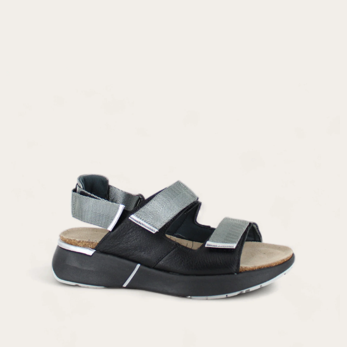 Odyssey_black_1_8db5050e-a3e8-4217-9946-10bc569caa4d