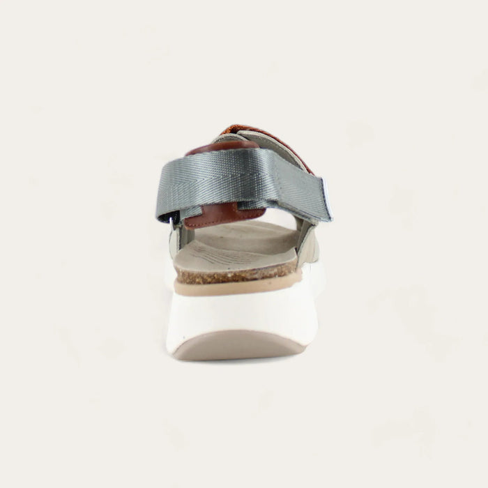 ODYSSEY-WFQ-4-with-background