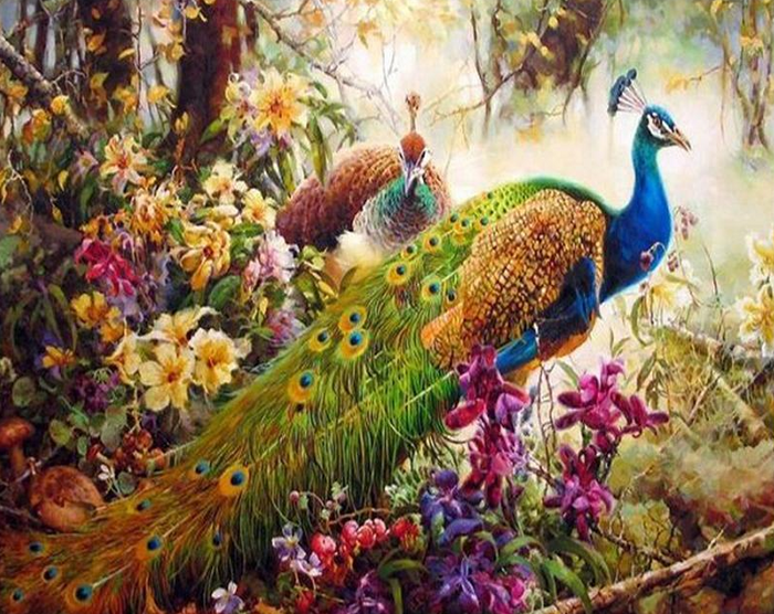 Peacocks Pair Paint by  Numbers