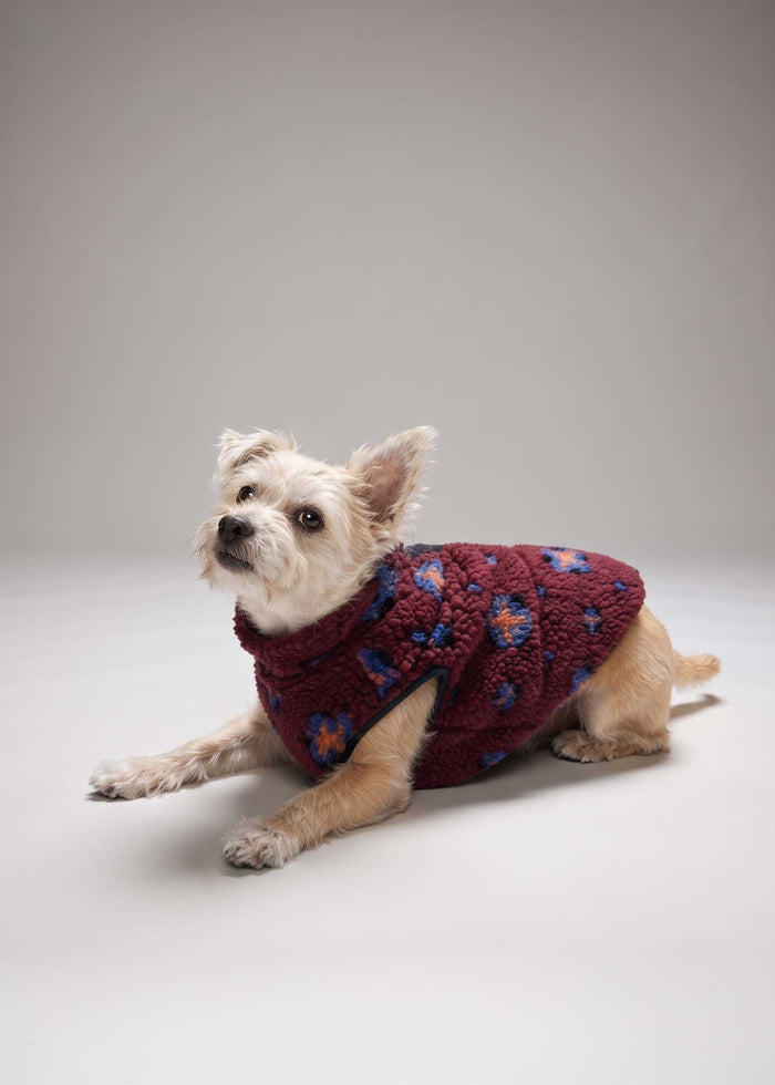 Vineyard Vines - Pet Sherpa Supershep Vest - Andy Foulard Crimson -
