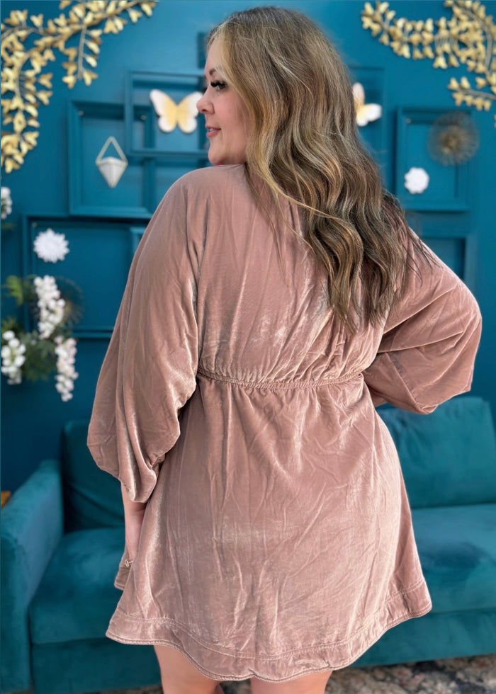 Portia Velvet Mini Dress in Winter Bloom