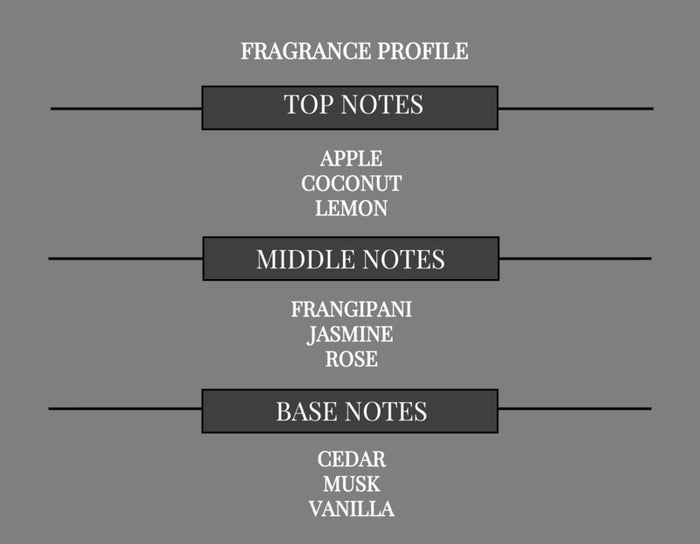 SKIES COMPARE TO BLUE SUN FRAGRANCE BODY SPRAY - Ceed Fragrances