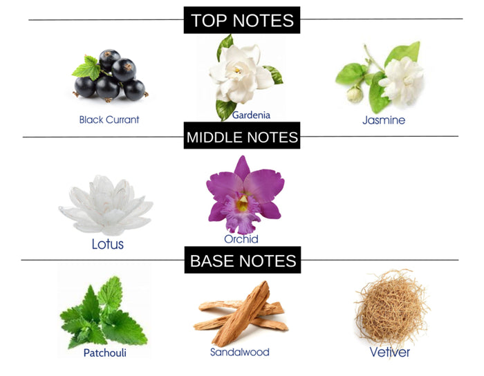 SWEET SENSUAL COMPARE TO BLACK ORCHID FRAGRANCE BODY SPRAY - Ceed Fragrances