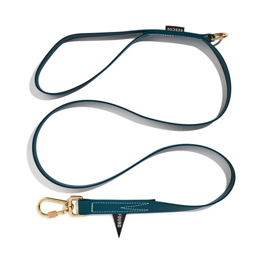 Found My Animal - Water Resistant Standard 5ft Leash - Hunter Green -