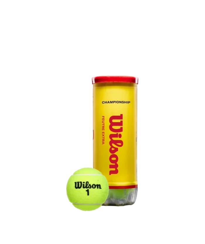 Wilson Championship Extra Duty 3 Ball Can