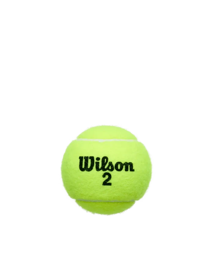 Wilson Championship Extra Duty 3 Ball Can