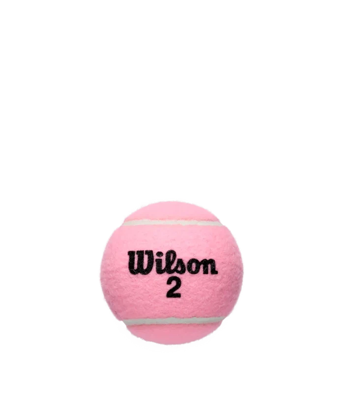 Wilson Intrigue All Court 3 Ball Can